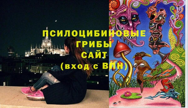 не бодяженный Абаза