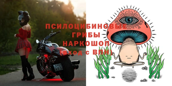 не бодяженный Абаза