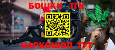 индика Тверь