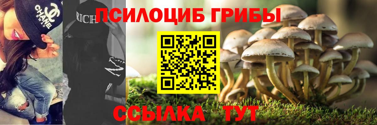 Галлюциногенные грибы Magic Shrooms Нижний Новгород